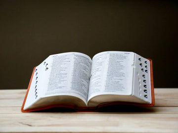 Cheese Making Dictionary