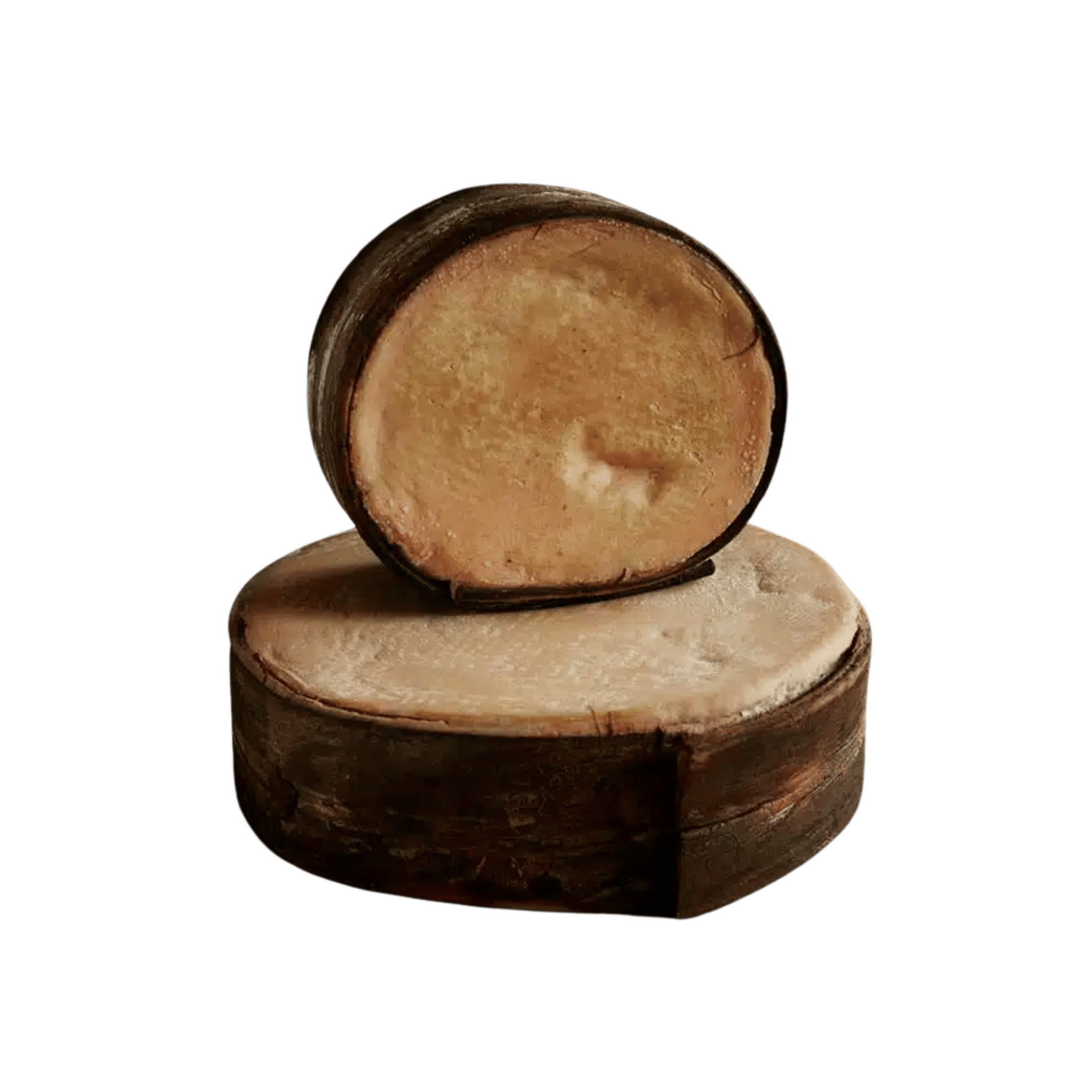 Bergfichte